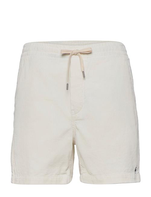 Polo Ralph Lauren | Classic Fit Prepster Short | M