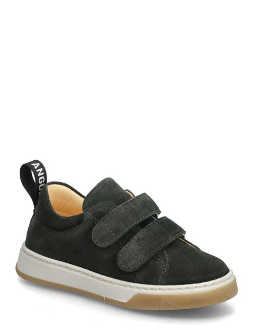 ANGULUS | Shoes - Flat - With Velcro | 26
