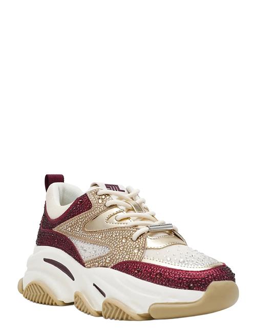 Steve Madden | Privy | 38