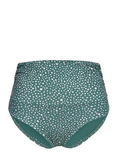 Panos Emporio | Ditsy Dots Chara Bottom | 44