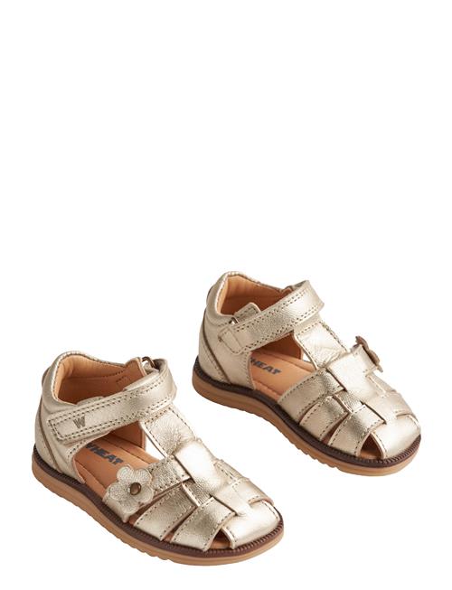 Wheat | Sandal Closed Toe Sky Flower | 21-13.5CM
