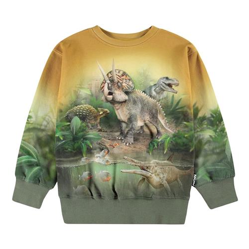 Molo Mattis Sweatshirt Forest Dinos 152 cm  Grøn  152 cm  Drenge