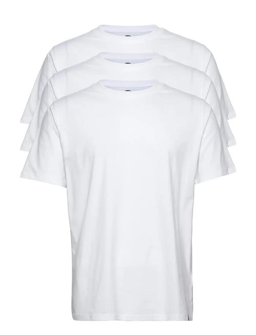 Dickies | Dickies Tsht Pk | L