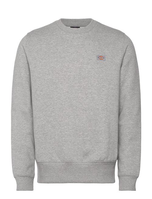 Dickies | Oakport Sweatshirt | S