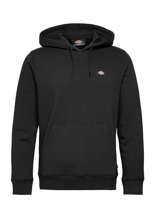 Dickies | Oakport Hoodie | S