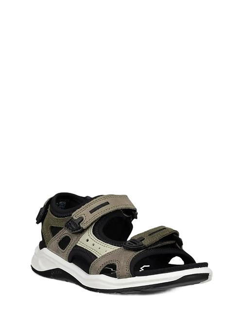 ECCO | X-Trinsic K | 26