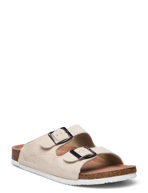 Exani | Spectra Suede W | 39