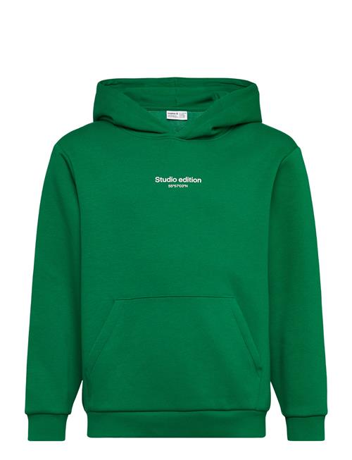 name it | Nkmbrody Ls Nreg Sweat Wh Bru Noos | 134-140