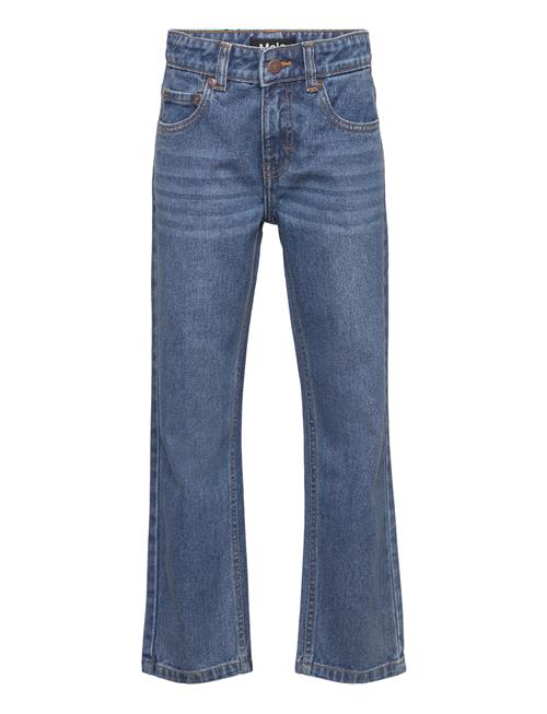 Molo | Andy | 140