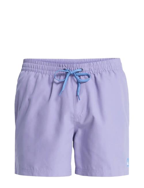 Quiksilver | Everyday Volley 15 | L