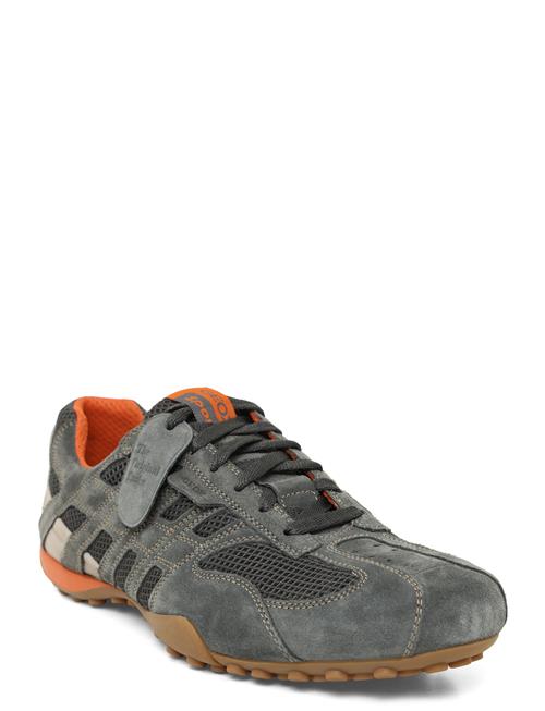 GEOX | U Snake Original A | 47