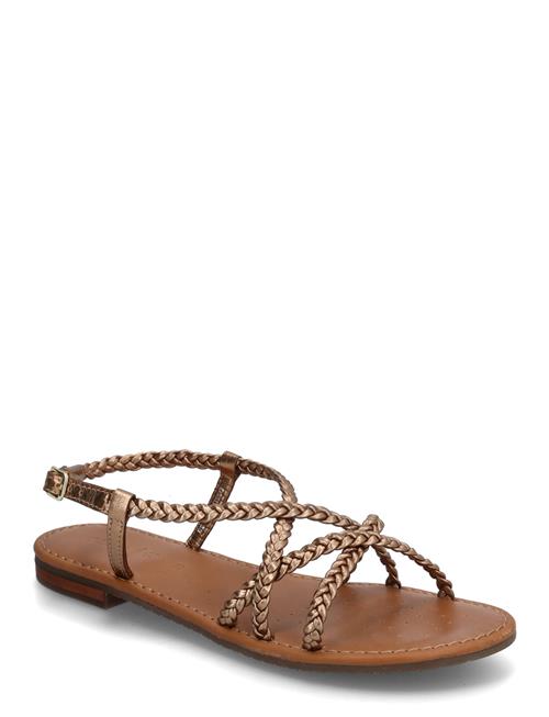 GEOX | D Sozy S D | 36