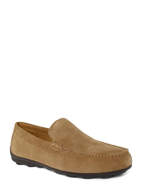 GEOX | U Spherica Ec16 A | 40