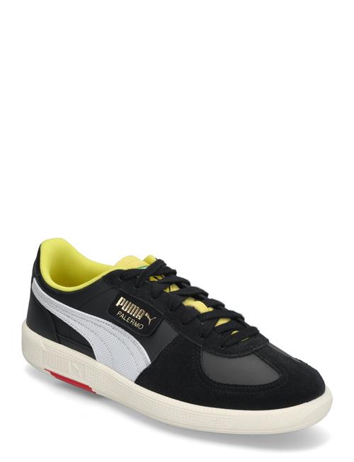 PUMA Motorsport | Ferrari Palermo | 43