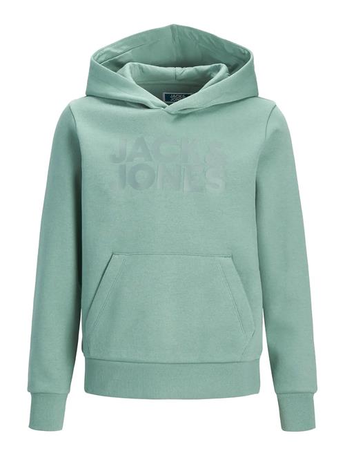 Jack & Jones | Jjecorp Logo Sweat Hood Noos Jnr | 176