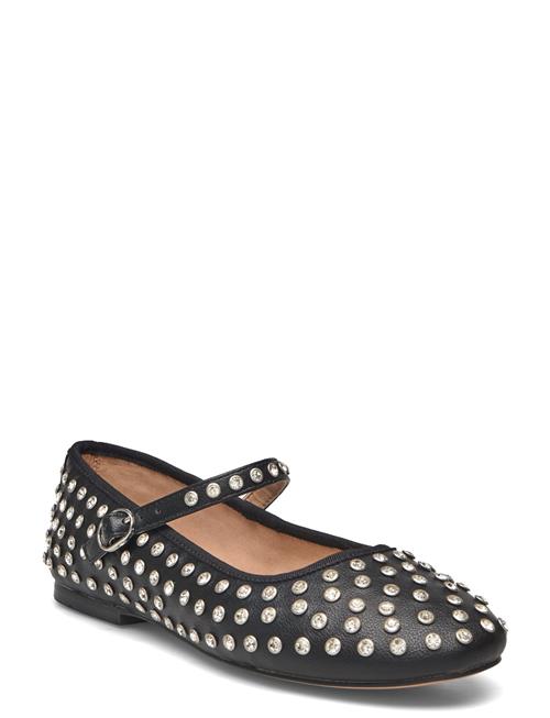 Steve Madden | Vinetta-R | 40