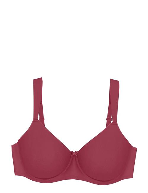 Triumph | Essential Minimizer T W X | C x 75