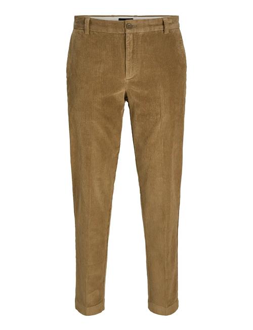 Jack & Jones | Jpstace Corduroy Chino Sn | 30 x 34