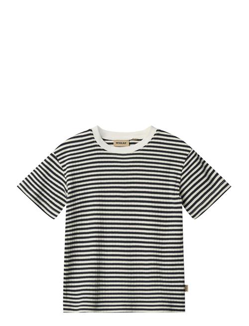 Wheat | T-Shirt S/S Fabian | 122