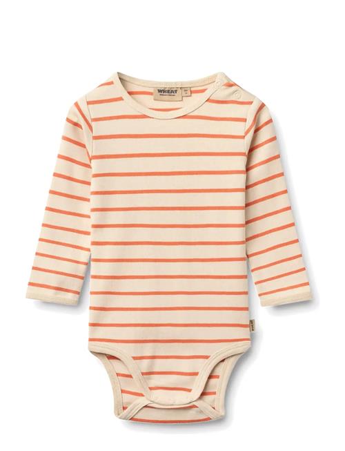 Wheat | Body L/S Berti | 62