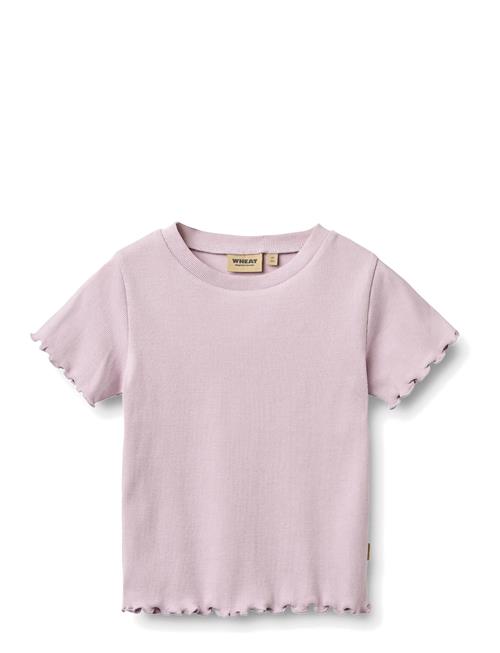 Wheat | Rib T-Shirt S/S Alicia | 98