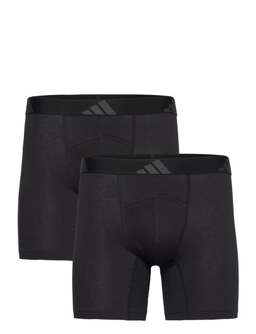adidas Underwear | Shorts | XL