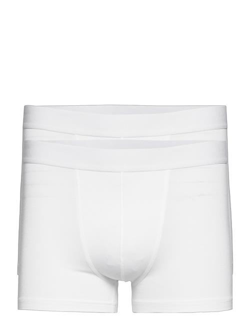 Bread & Boxers | Mutlipack Boxer Brief Modal | L