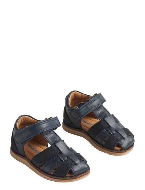Wheat | Sandal Sky | 24