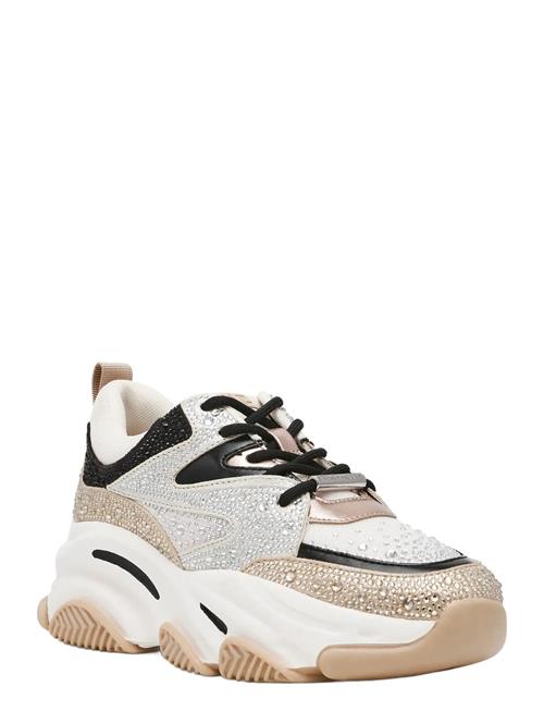Steve Madden | Privy | 38