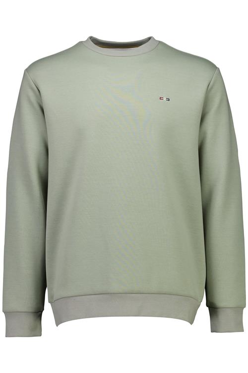 Bison Sweatshirt