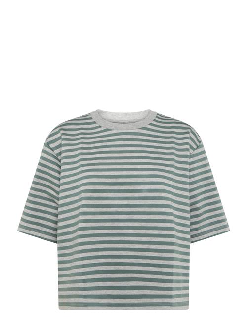 mbyM | Emrys-M | L