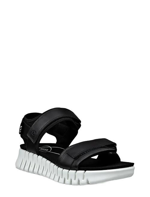 ECCO | Gruuv Sol W | 36