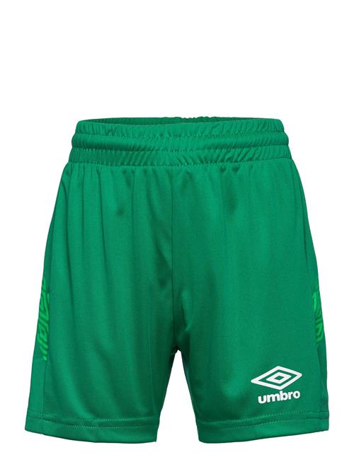 Umbro | Liga Shorts Jr | 164
