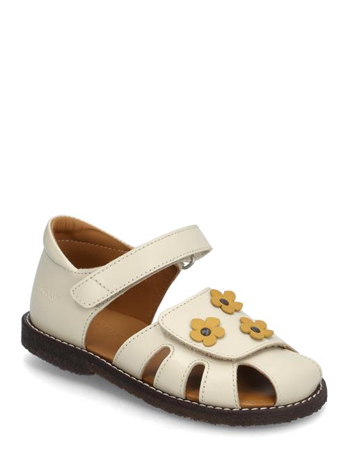 ANGULUS | Sandals - Flat  - Closed Toe | 23