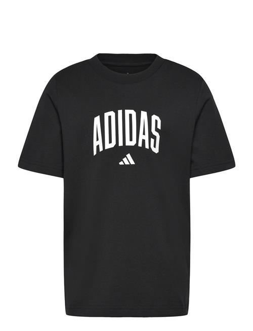 adidas Sportswear | J Colleg T | 146