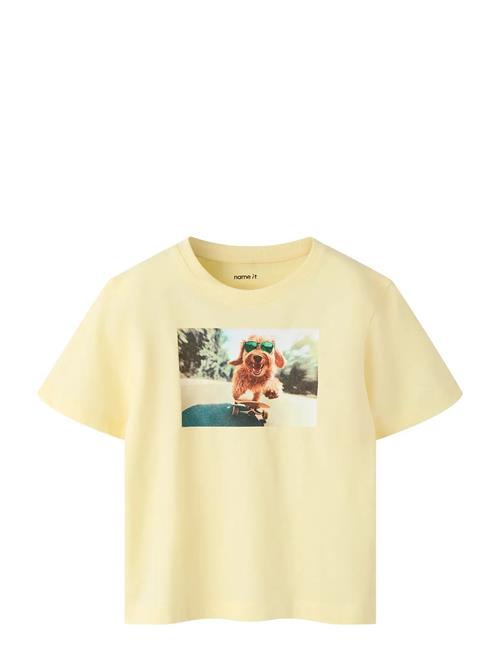 name it | Nmmvoto Ss Nreg Top | 110