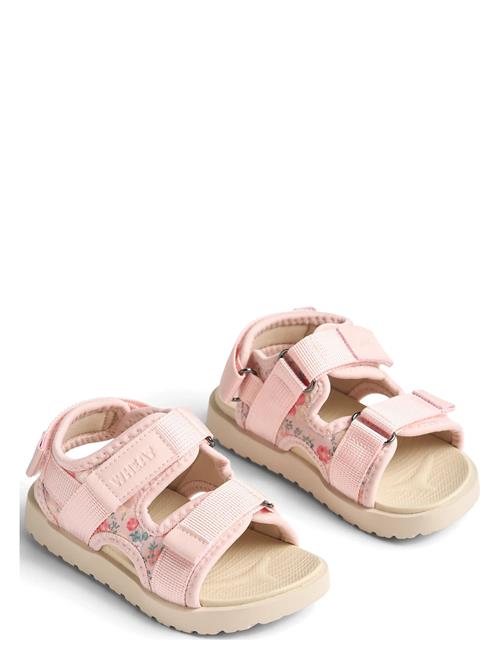 Wheat | Sandal Mandy | 25