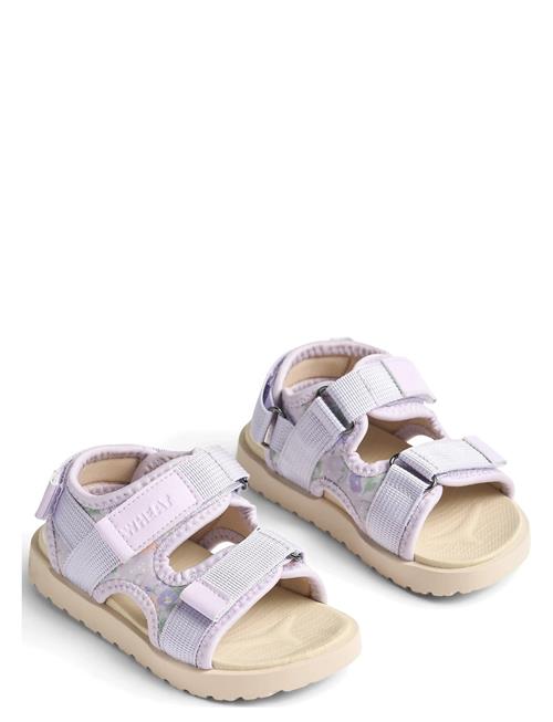 Wheat | Sandal Mandy | 30