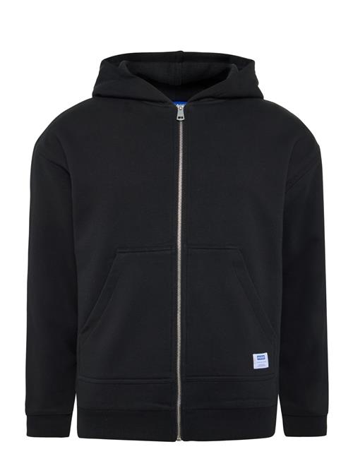 HUGO BLUE | Nestodi | L