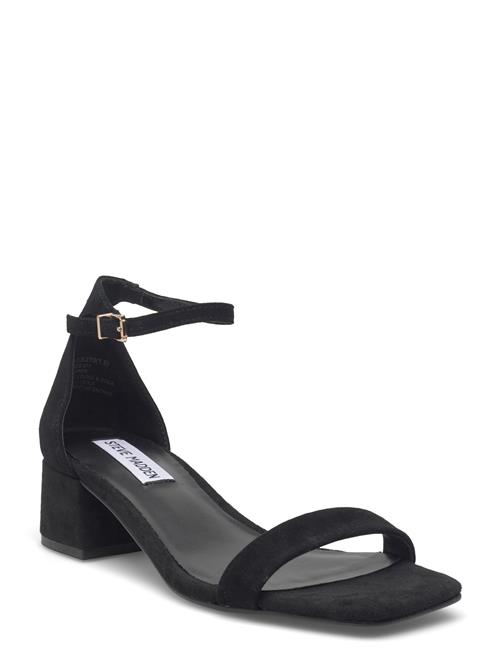 Steve Madden | Gena | 41