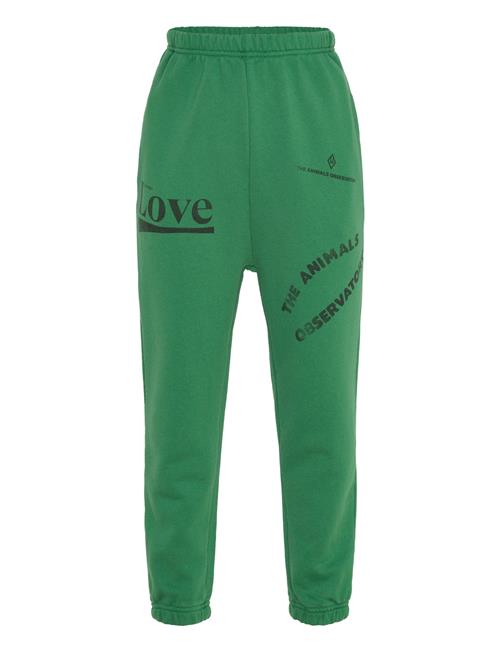 THE ANIMALS OBSERVATORY | Dromedary Kid Sweatpants Green | 10 Y