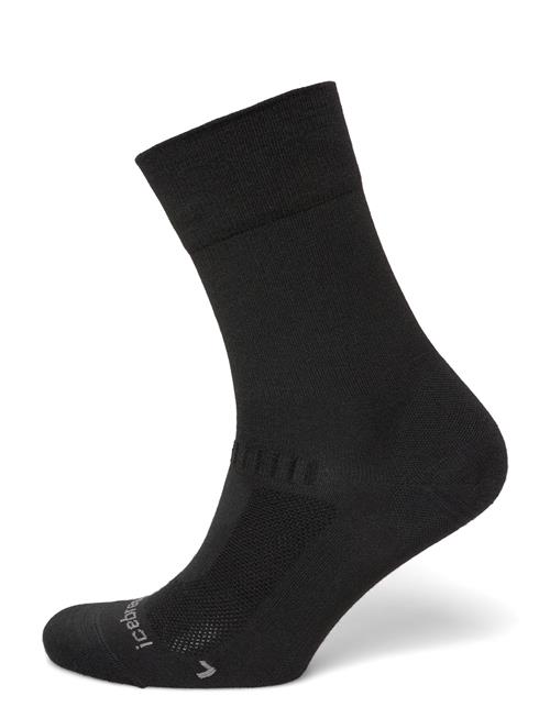 Icebreaker | Women Merino Hike+ Liner Crew | M