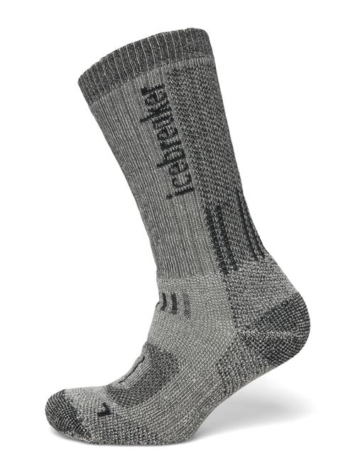 Icebreaker | Men Merino Hike+ Mountaineer Mid Calf | M