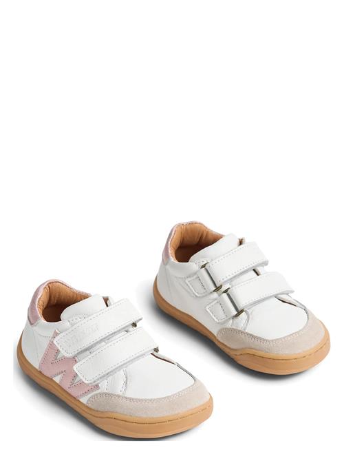 Wheat | Sneaker Barres | 24