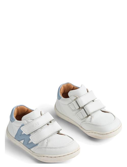 Wheat | Sneaker Barres | 30