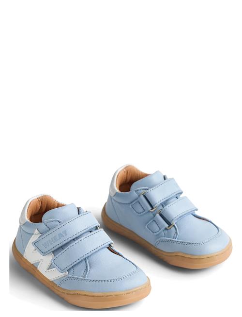 Wheat | Sneaker Barres | 32