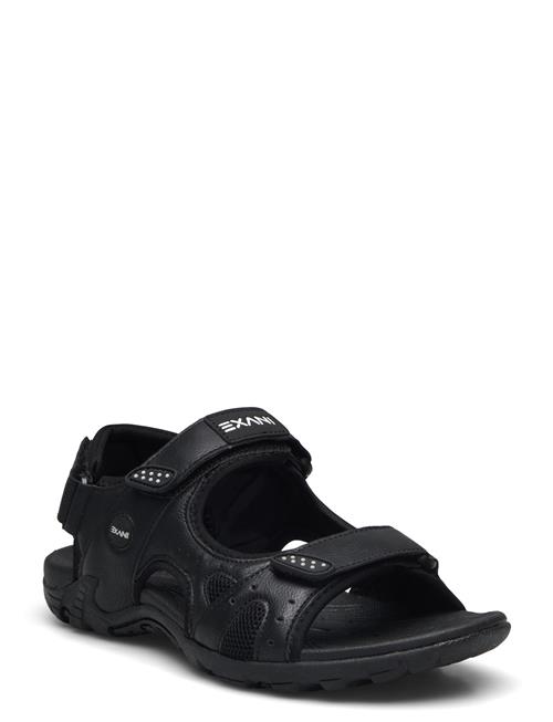 Exani | Spider Pro W | 37
