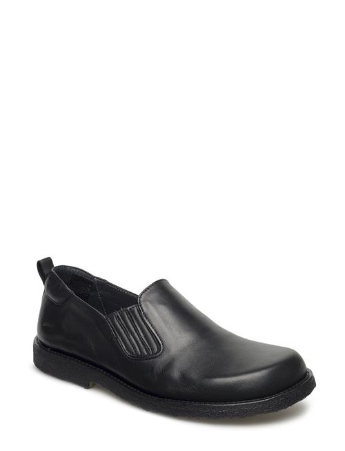 ANGULUS | Shoes - Flat - With Elastic | 38-25.2CM
