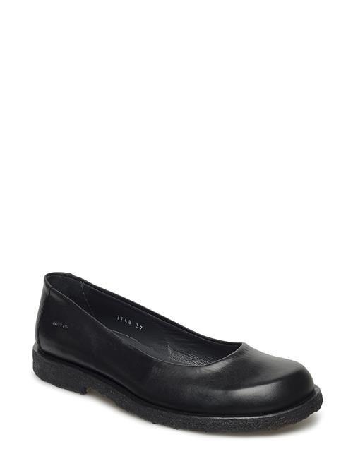 ANGULUS | Ballerina | 40.5