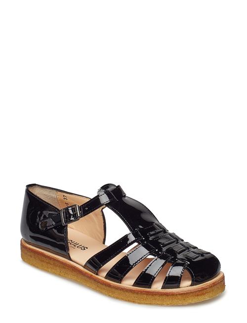 ANGULUS | Sandals - Flat  - Closed Toe - Op | 37.5